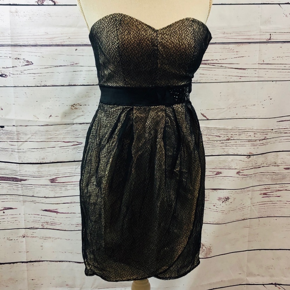 MAX and CLEO Belted Mini Dress - Picture 3 of 6